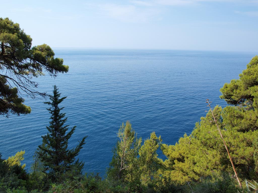 White & Co Villa And Apartments Dubrovnik Quarto foto